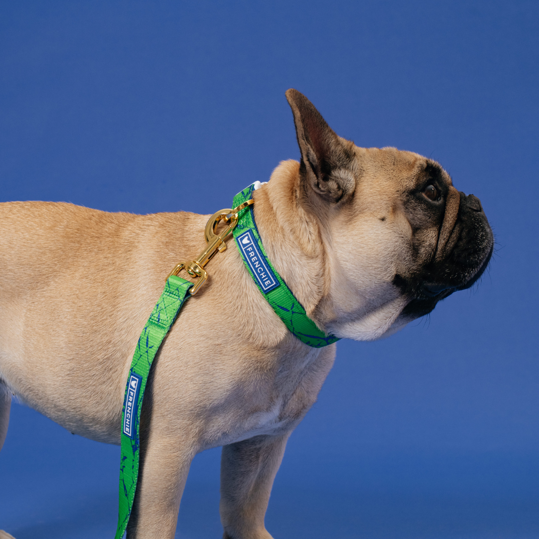 Frenchie Comfort Collar - Green Marble