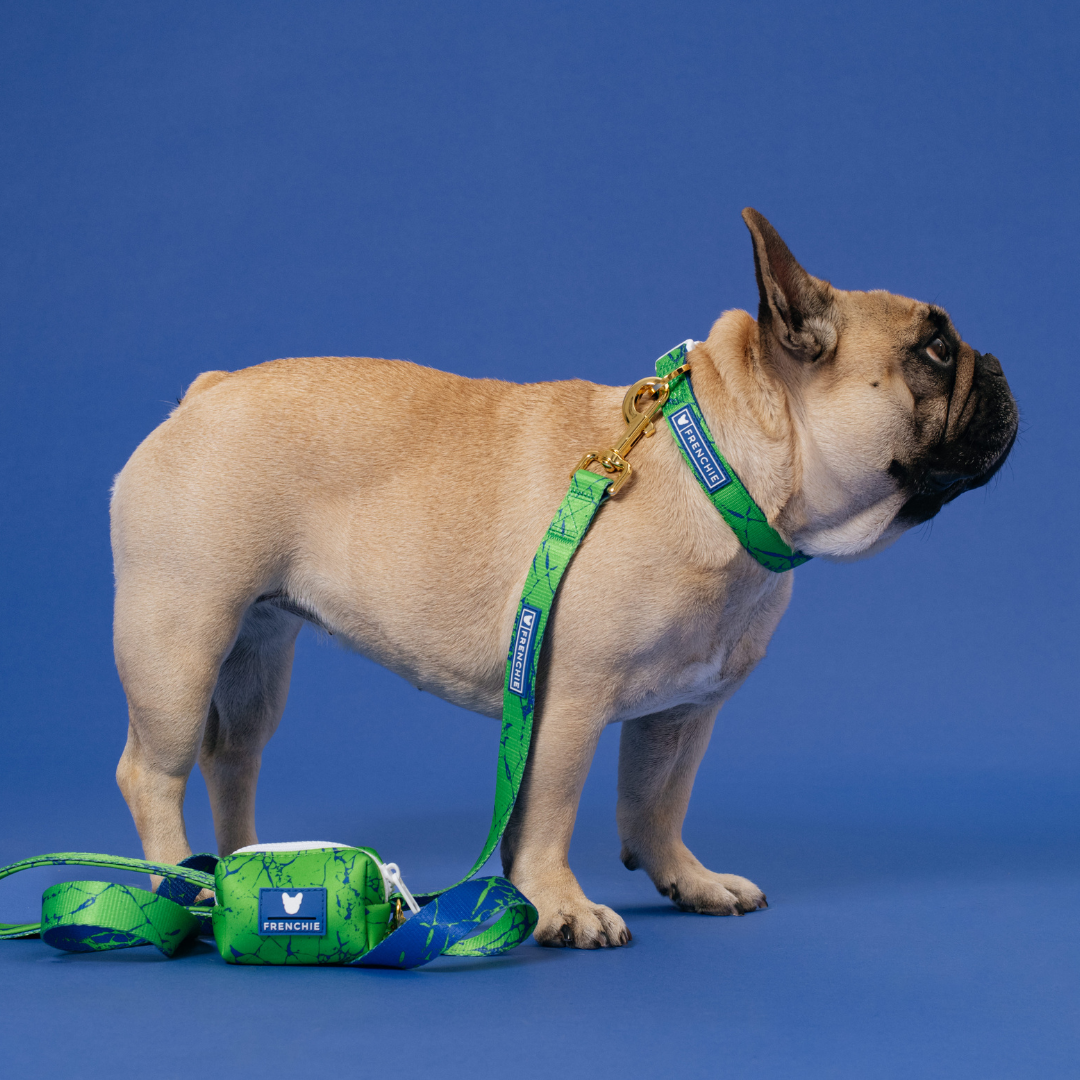 Frenchie Comfort Collar - Green Marble