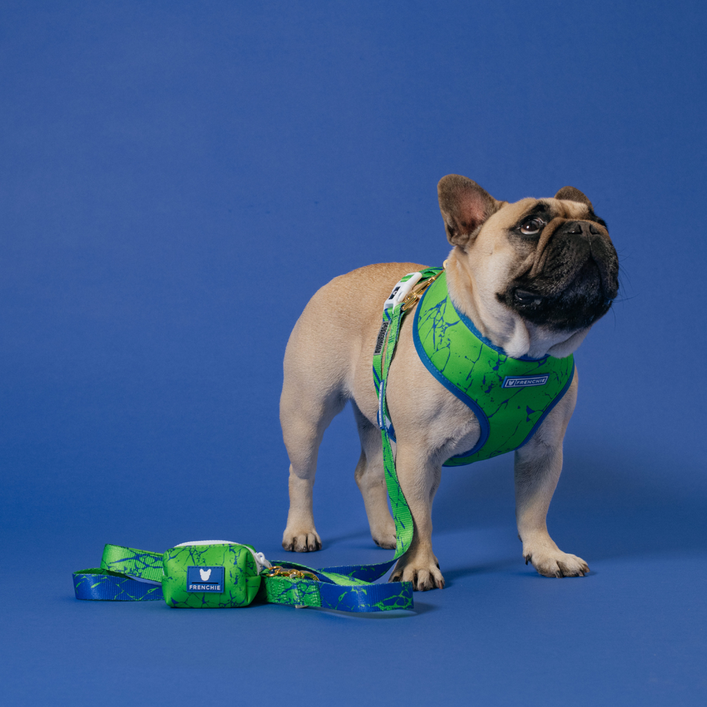 Frenchie Duo Reversible Harness - Green Marble