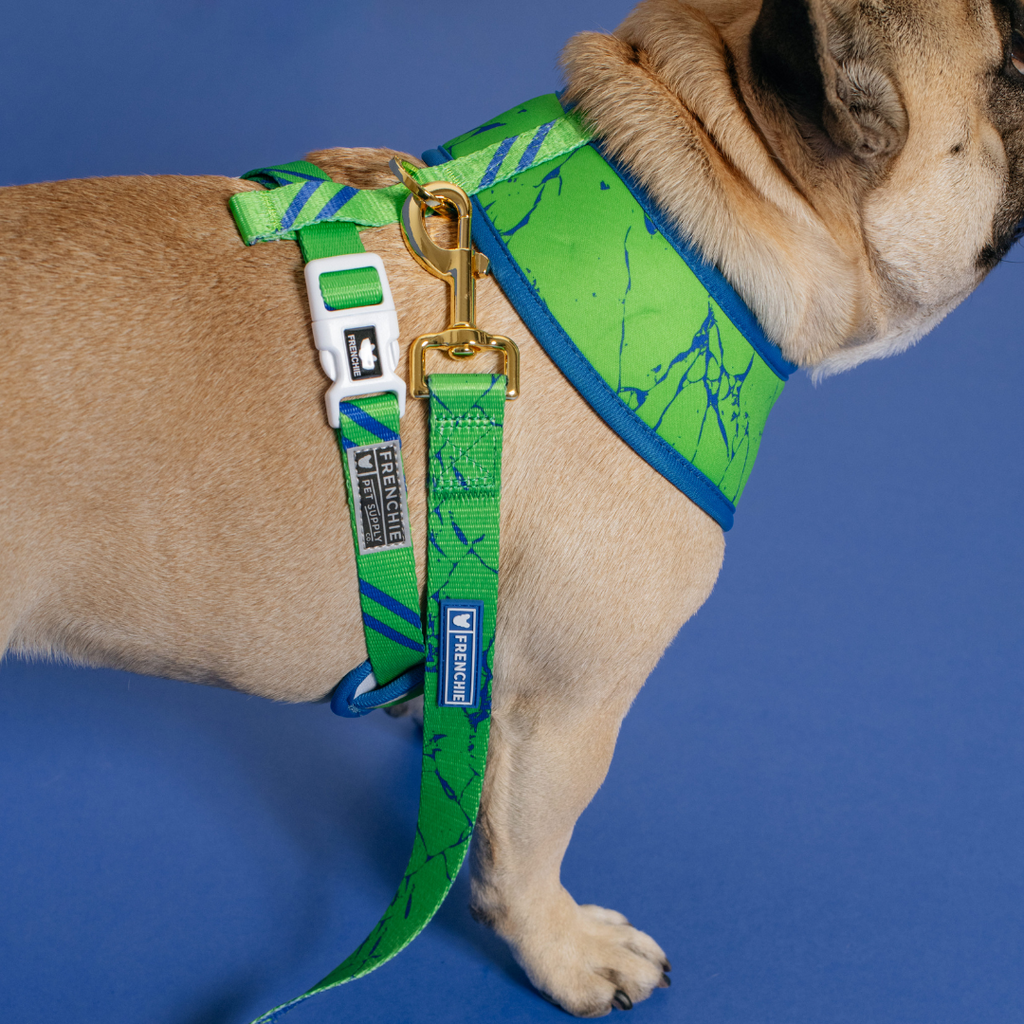 Frenchie Duo Reversible Harness - Green Marble