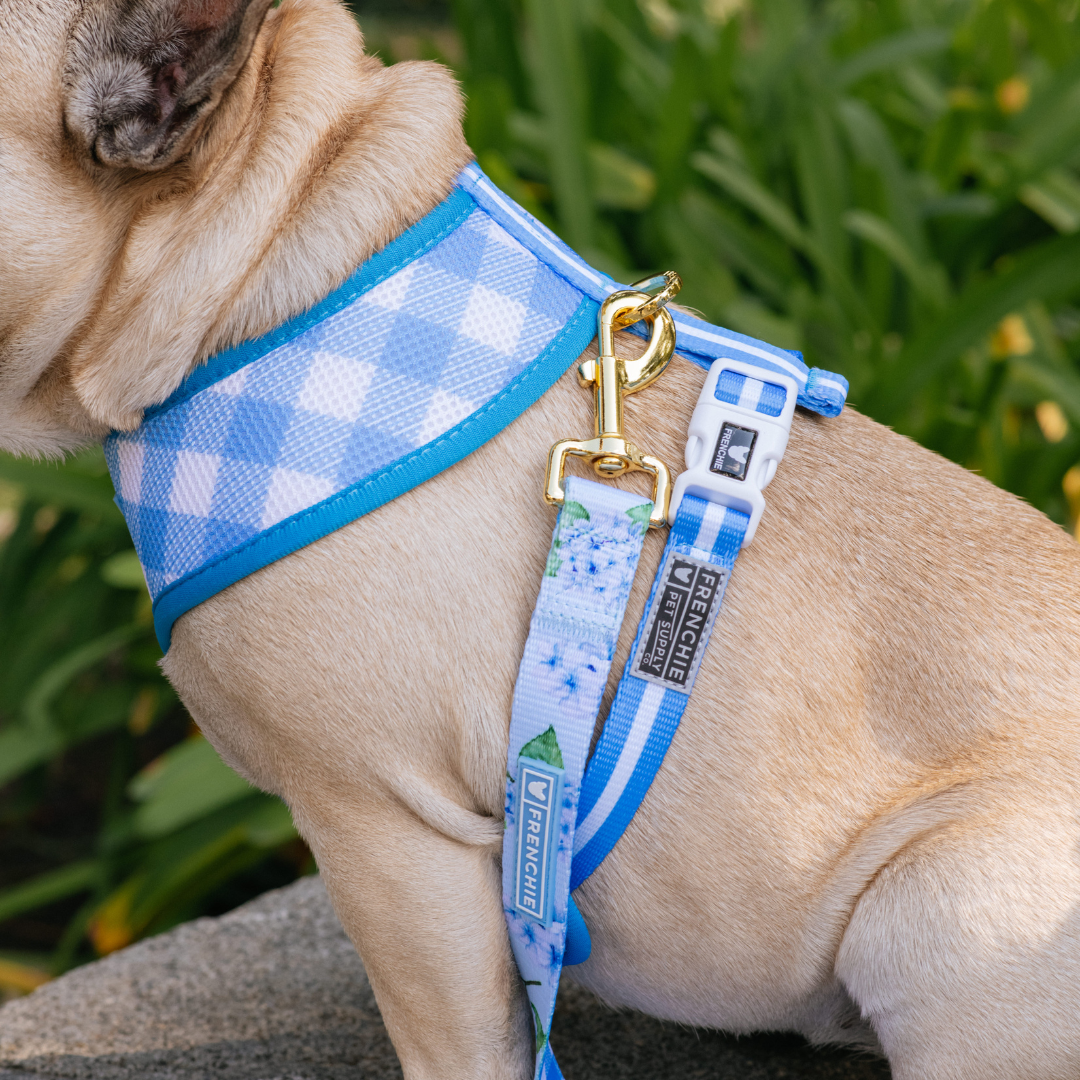 Frenchie Comfort Leash - Hydrangea