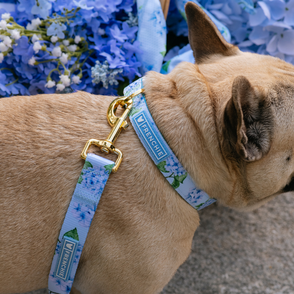Frenchie Comfort Collar - Hydrangea