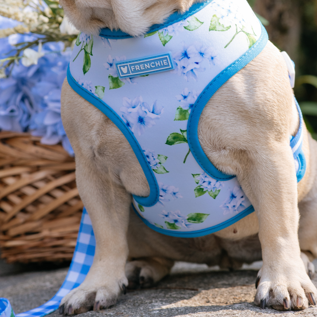 Frenchie Duo Reversible Harness - Hydrangea