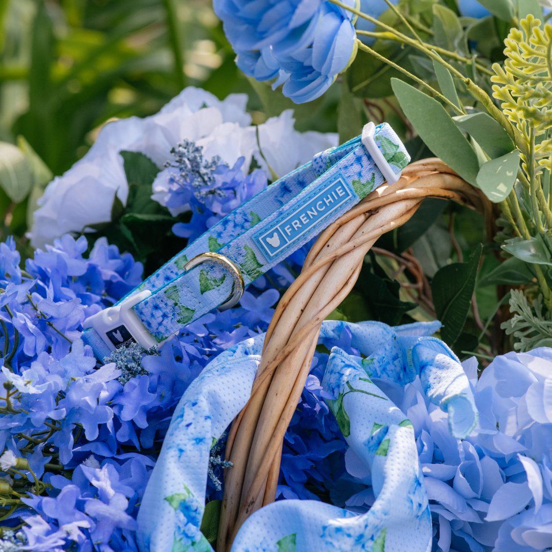 Frenchie Comfort Collar - Hydrangea