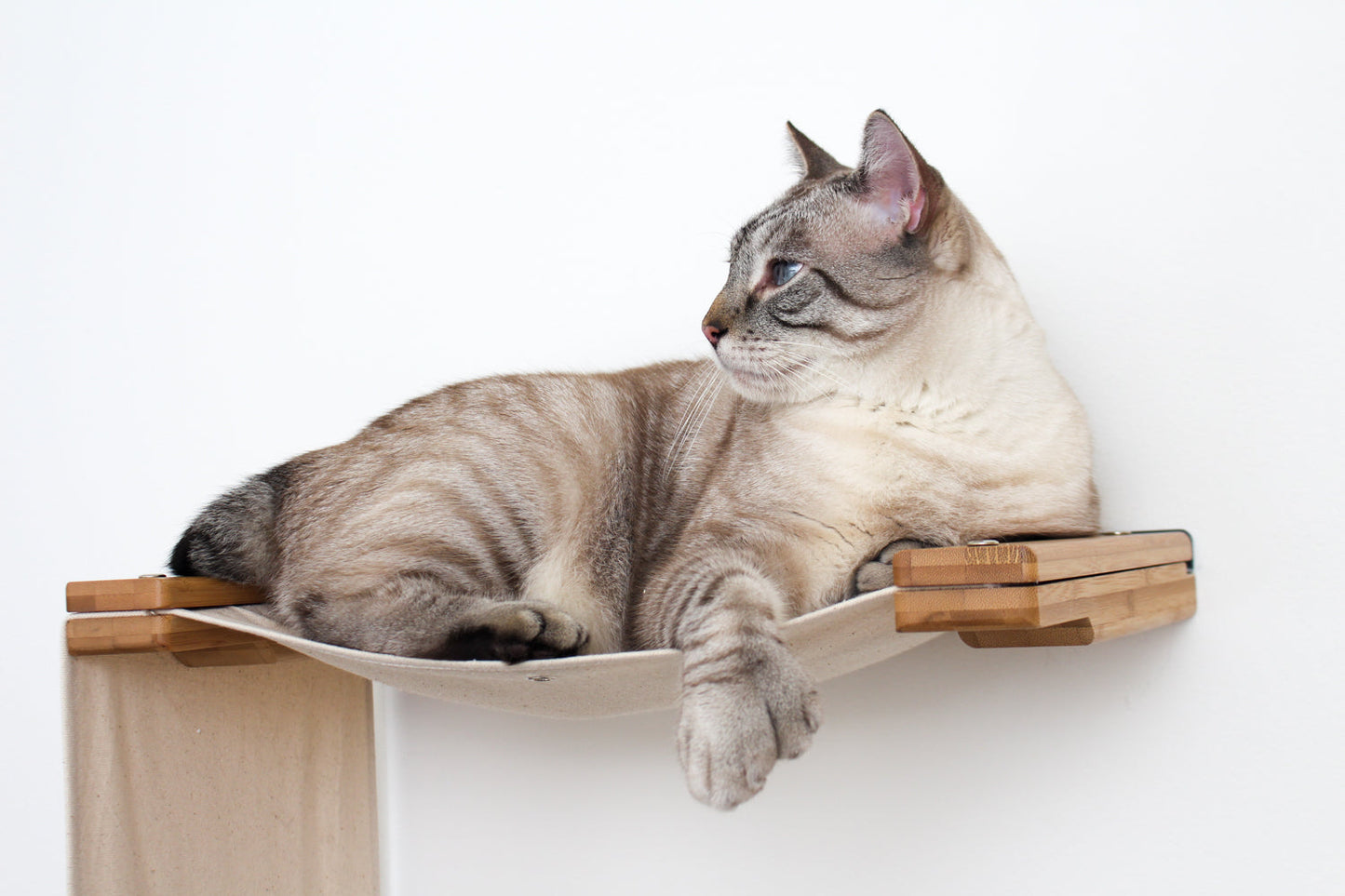 The Play - A Cat Play Wall System