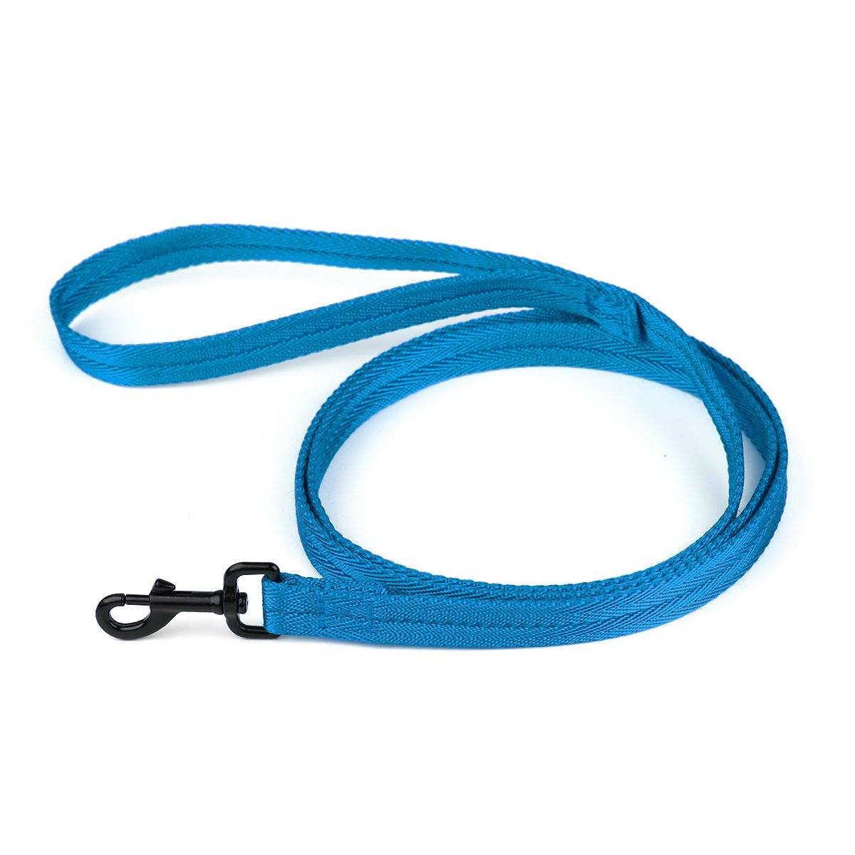 Nylon Flat Dog Leash