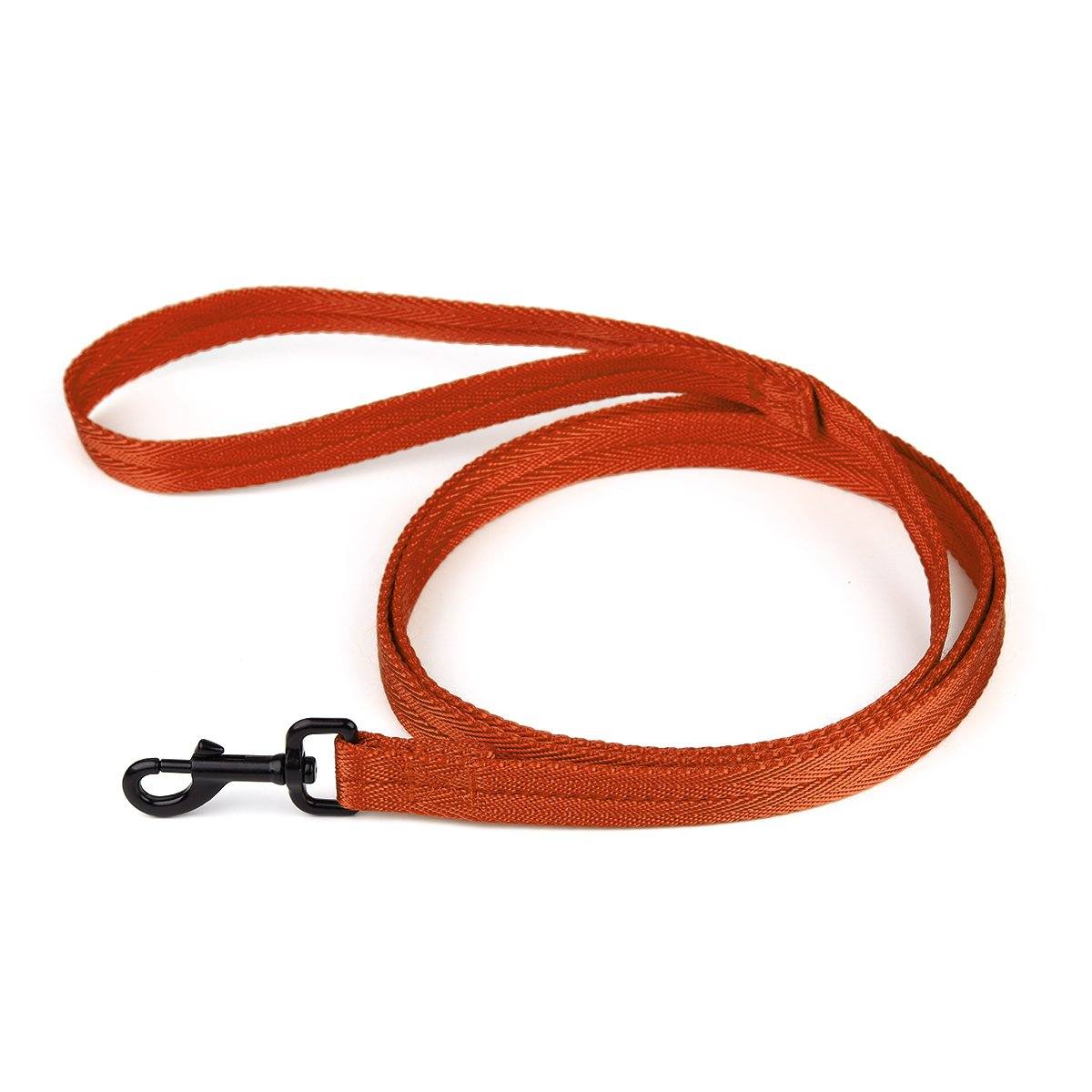 Nylon Flat Dog Leash