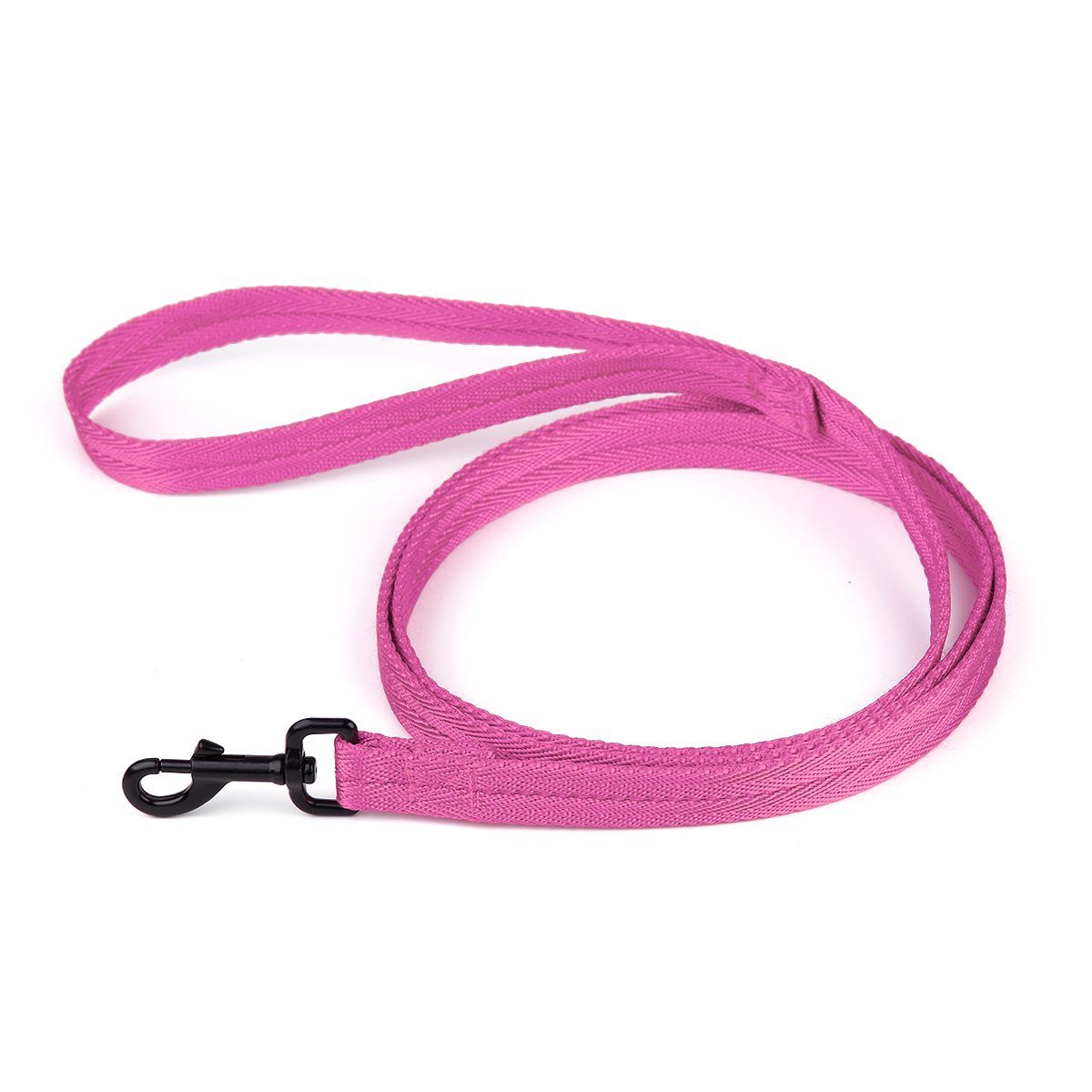 Nylon Flat Dog Leash