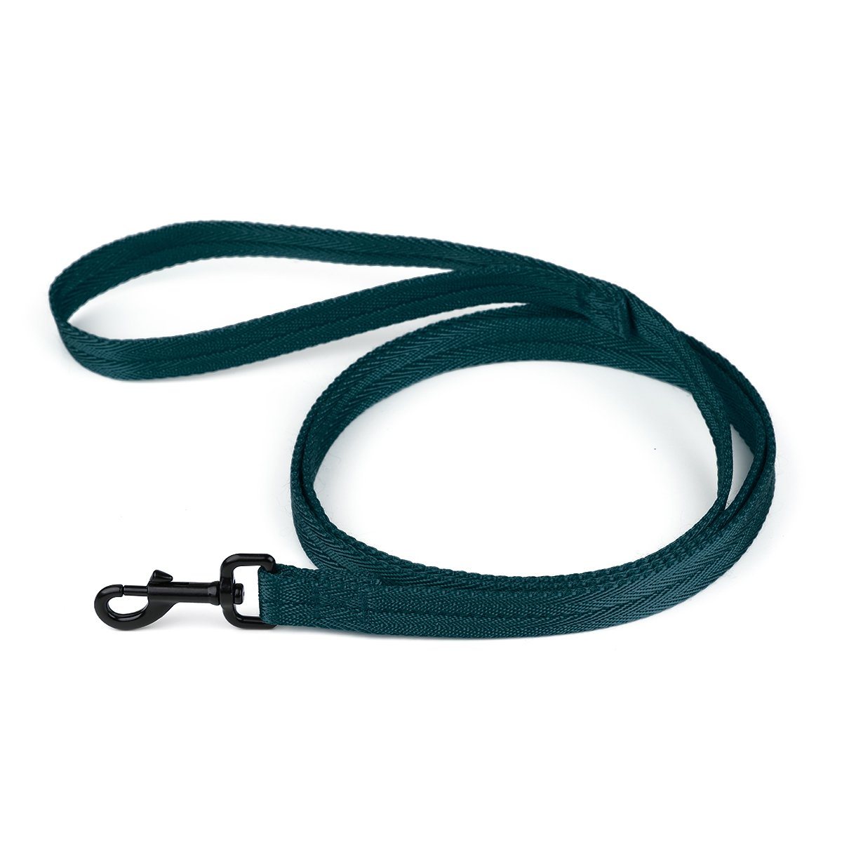 Nylon Flat Dog Leash