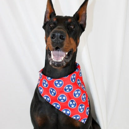 Nashville Tennessee Dog Bandana