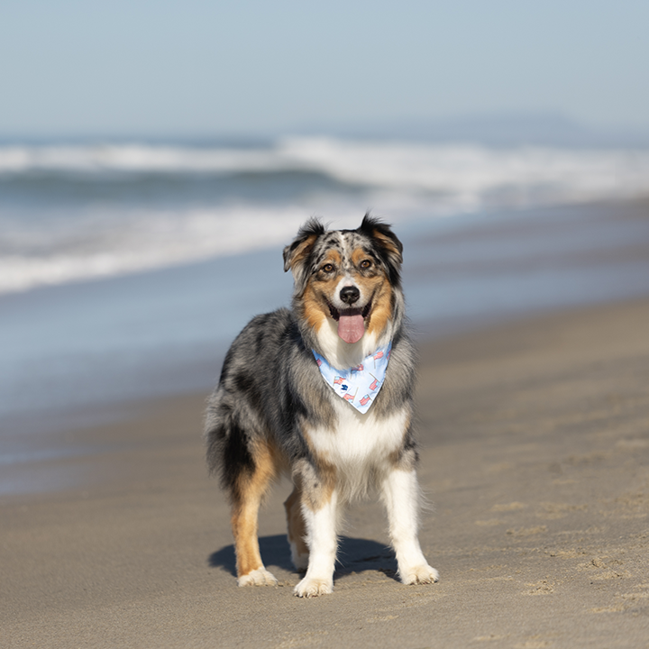 USA Dog Bandana
