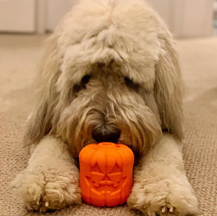 Jack O' Lantern eDispener Durable Rubber Chew Toy & Treat Dispenser