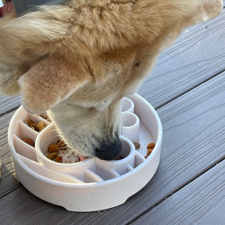 Java Design eBowl Enrichment Slow Feeder Bowl for Dogs