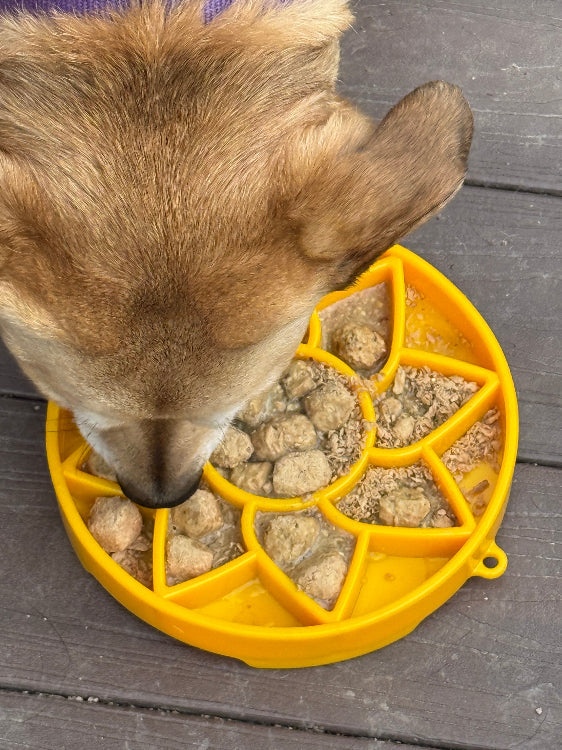 Sunflower Design eTray Enrichment Shallow Slow Feeder Dog Bowl