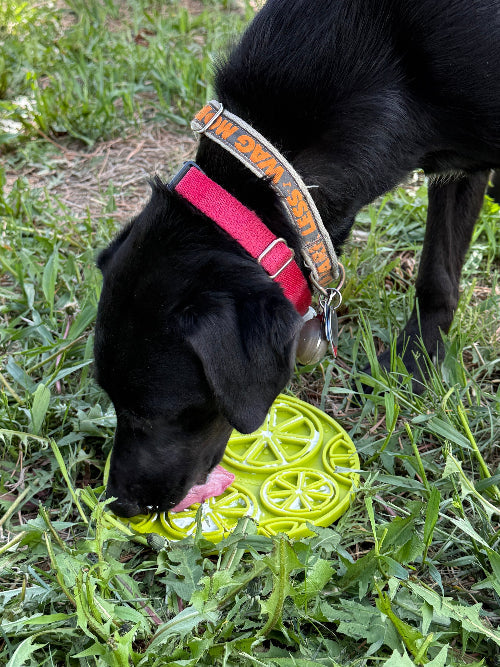 Citrus Design eMat Enrichment Lick Mat With Suction Cups