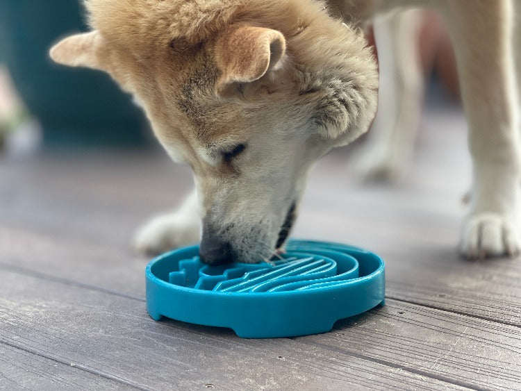 Baja Design eTray Enrichment Shallow Slow Feeder Dog Bowl