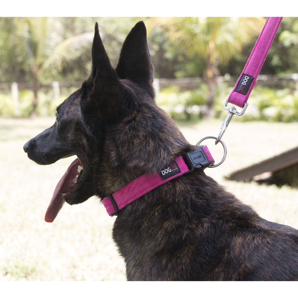 Comfort Microfiber Flat Dog Collar