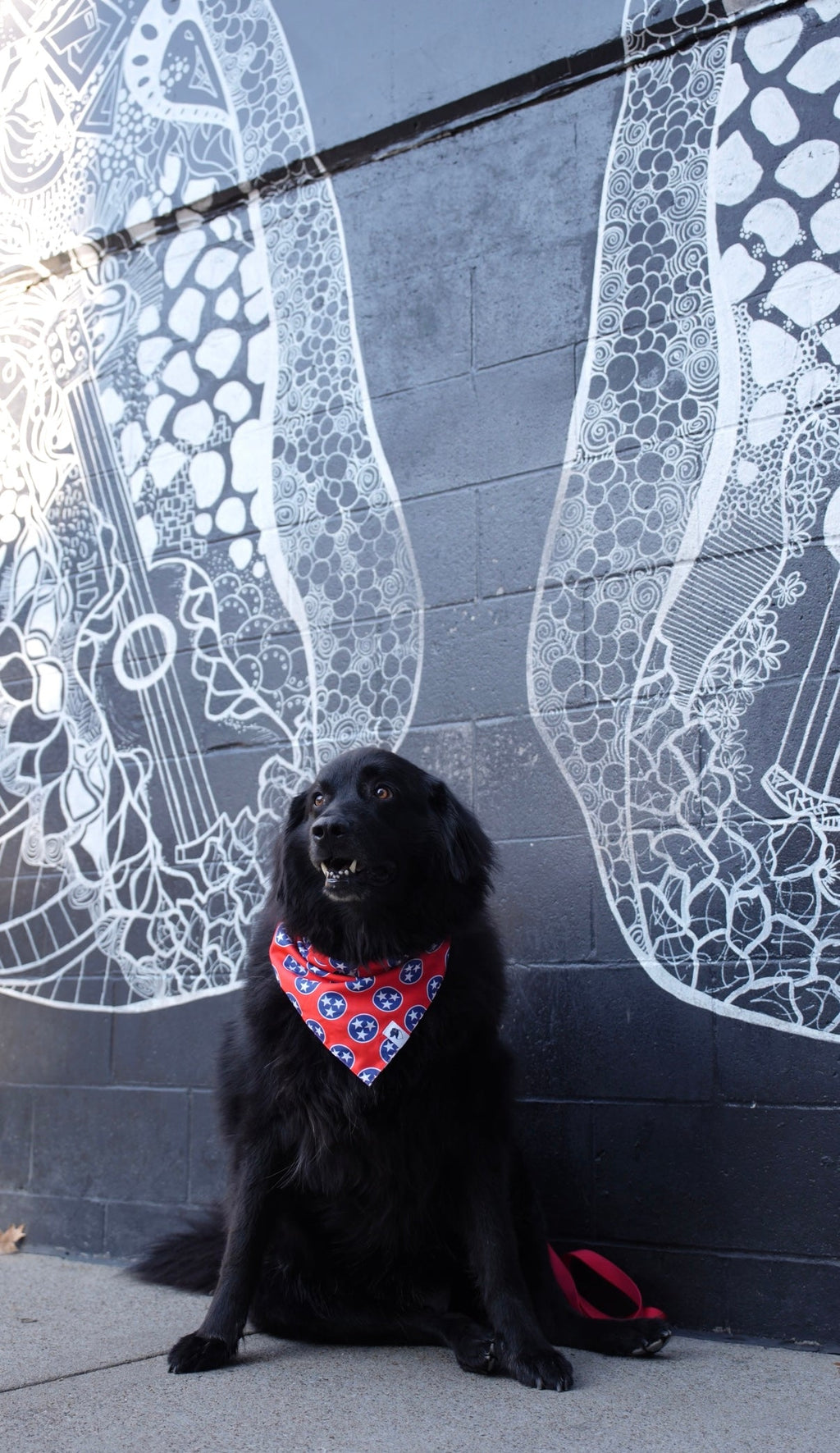 Nashville Tennessee Dog Bandana