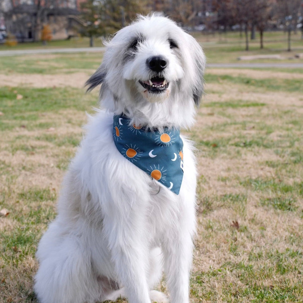 Blue Moon & Lightning Dog Bandana