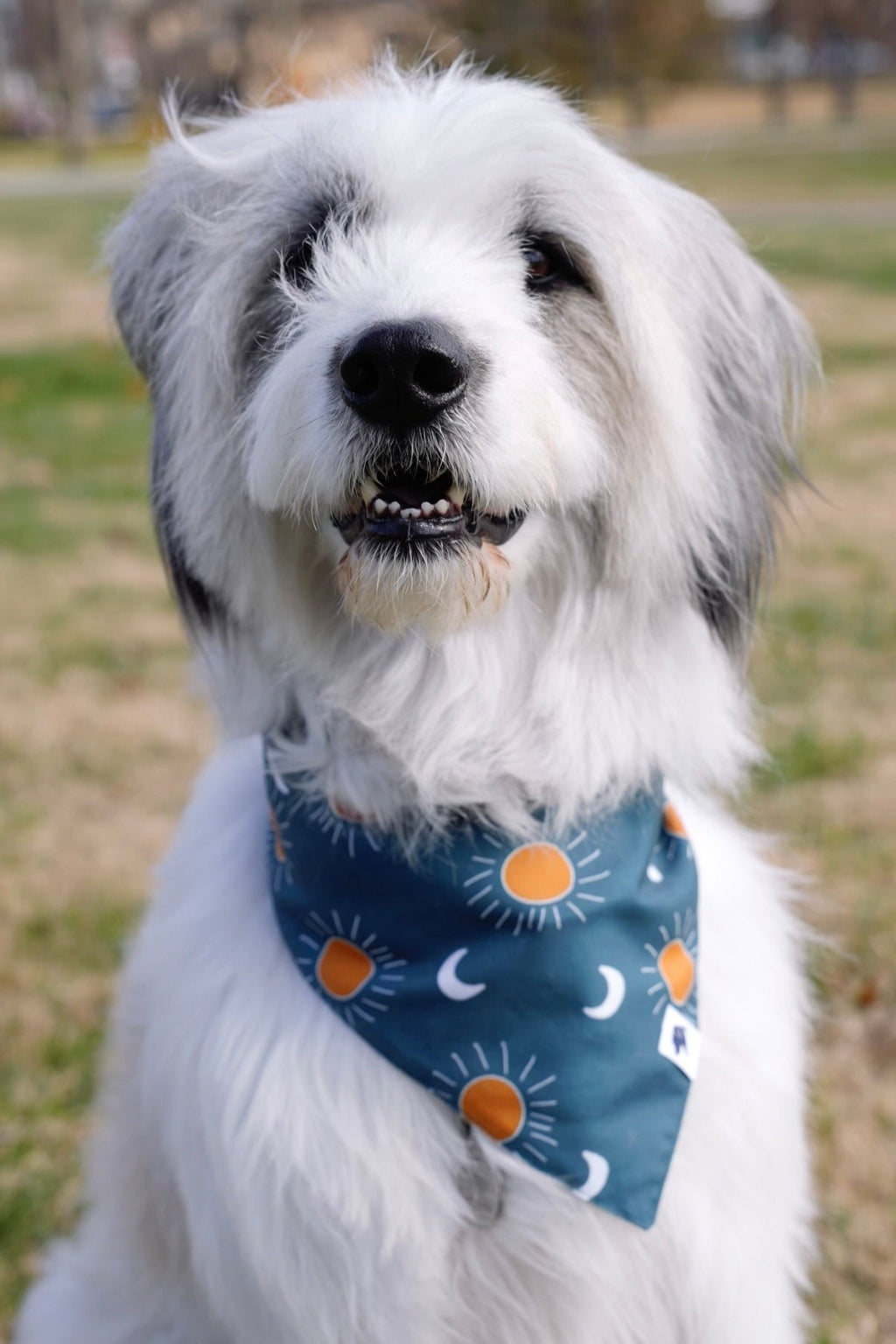 Blue Moon & Lightning Dog Bandana