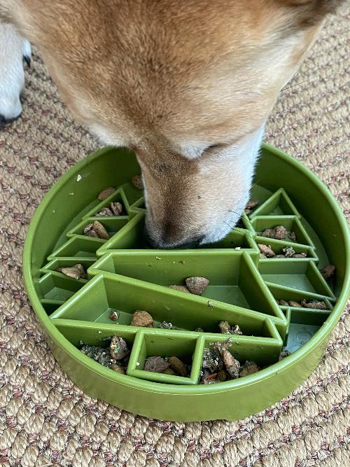 Pine Tree Design eBowl Enrichment Slow Feeder Bowl for Dogs