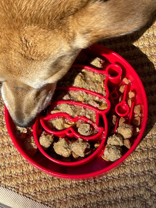 Santa Design eBowl Enrichment Slow Feeder Bowl for Dogs
