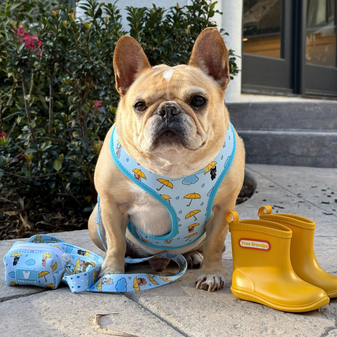 Frenchie Poo Bag Holder - It's Raining Frenchies