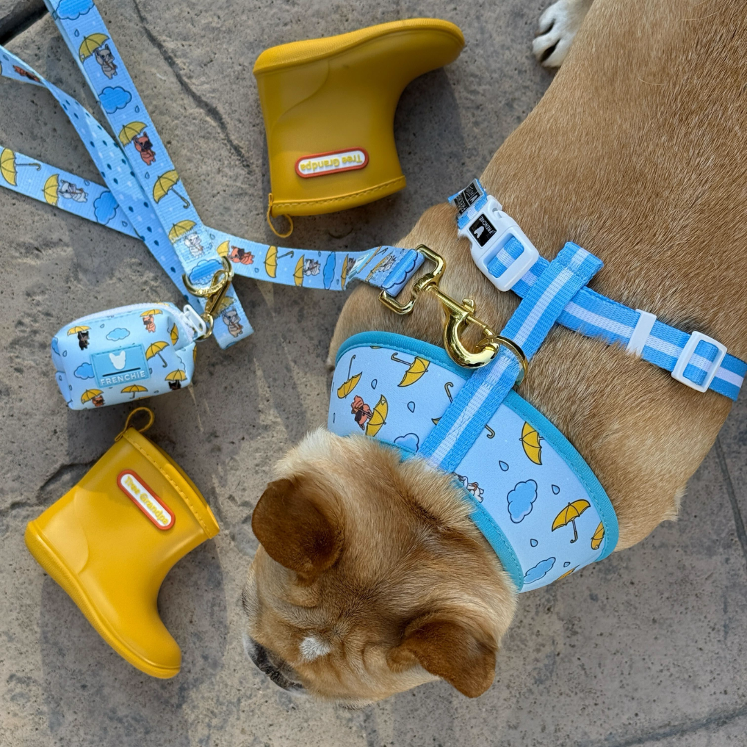 Frenchie Duo Reversible Harness - It's Raining Frenchies
