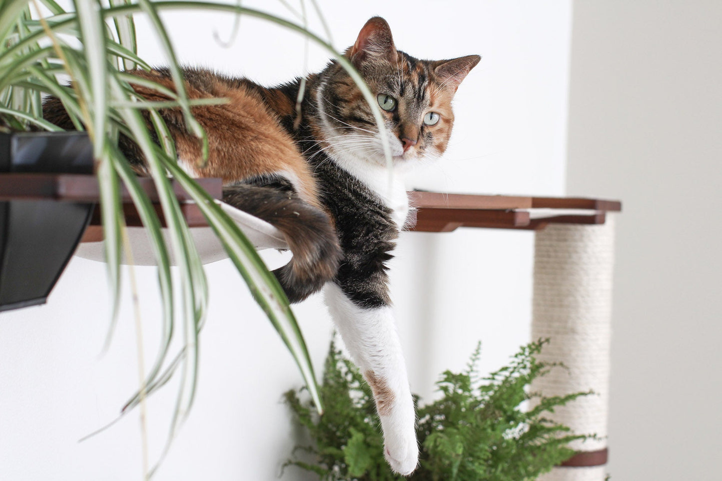 The Juggernaut - Indoor Cat Playground for Wall