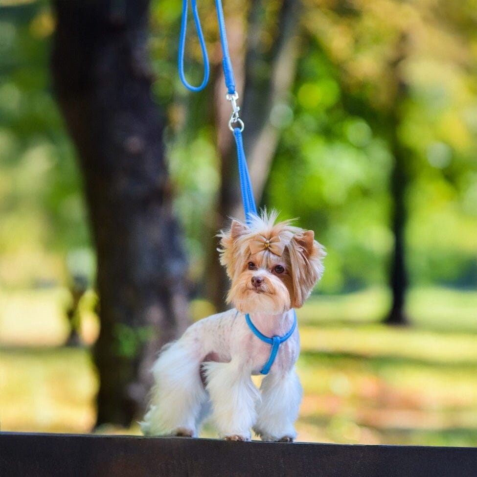 Soft Leather Round Step-In Dog Harness + Round Dog Lead