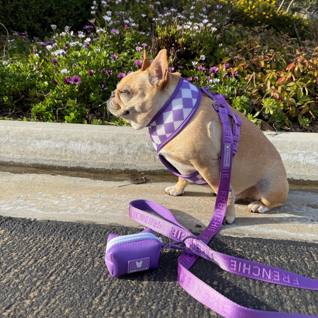 Frenchie Duo Reversible Harness - Solid Purple