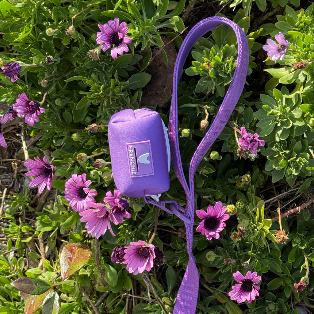 Frenchie Comfort Leash - Solid Purple
