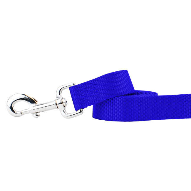 Royal Blue Nylon Dog Leash