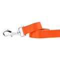 Rust Nylon Dog Leash (1" only)