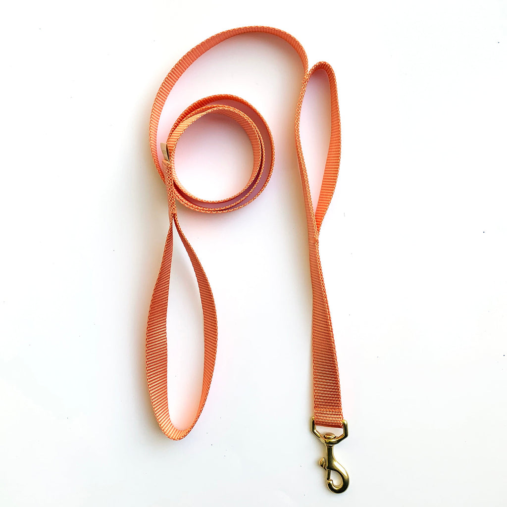 double handle leash / traffic leash