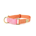 martingale collar / peach + pink