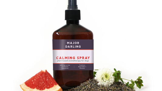 calming dog bed spray