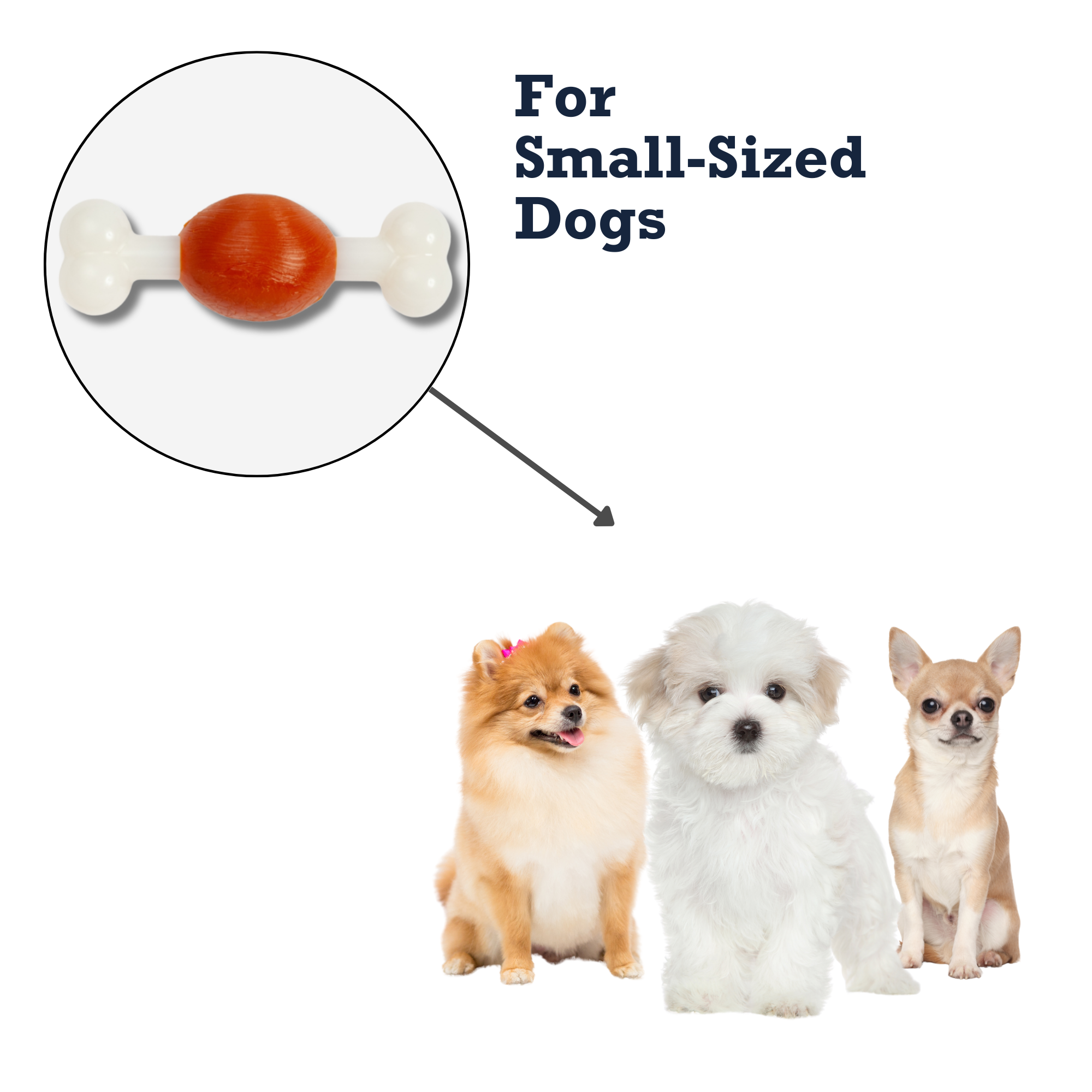 Country Living TPR & Nylon Bone Dog Chew Toy - Beef-Flavored, Ideal for Small Dogs