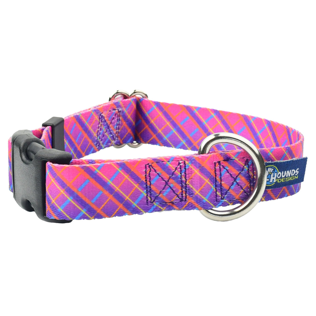 Neon Sunrise Pink Plaid Dog Collar – EarthStyle