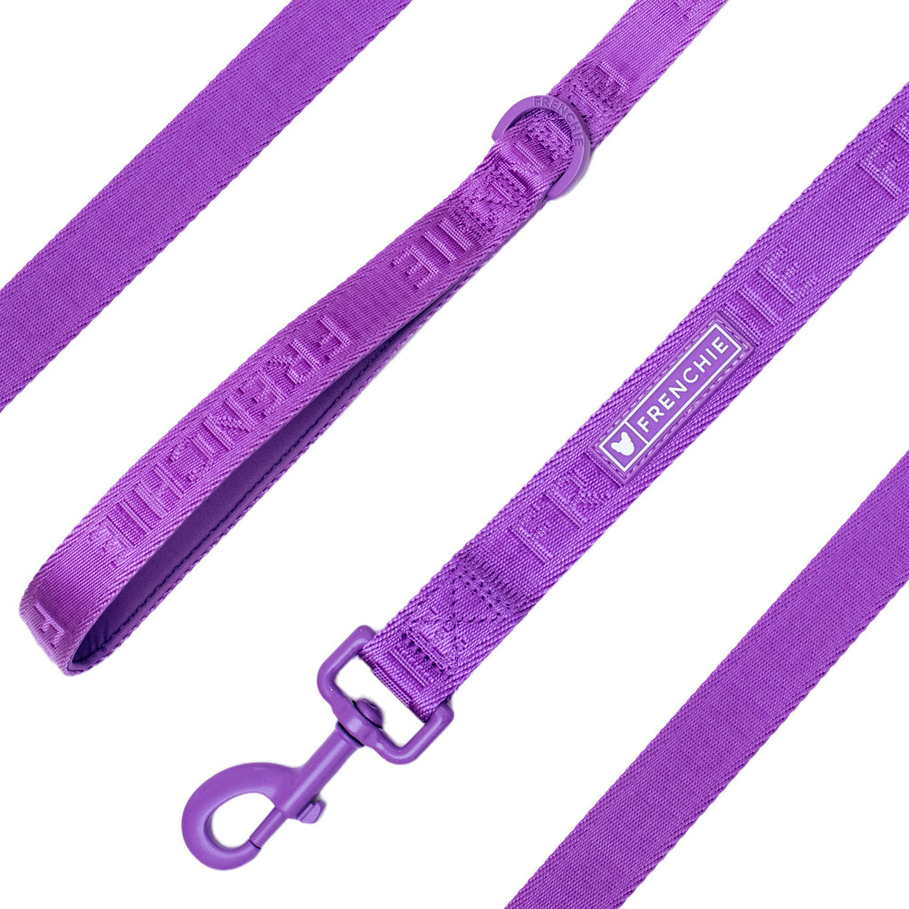 Frenchie Comfort Leash - Solid Purple