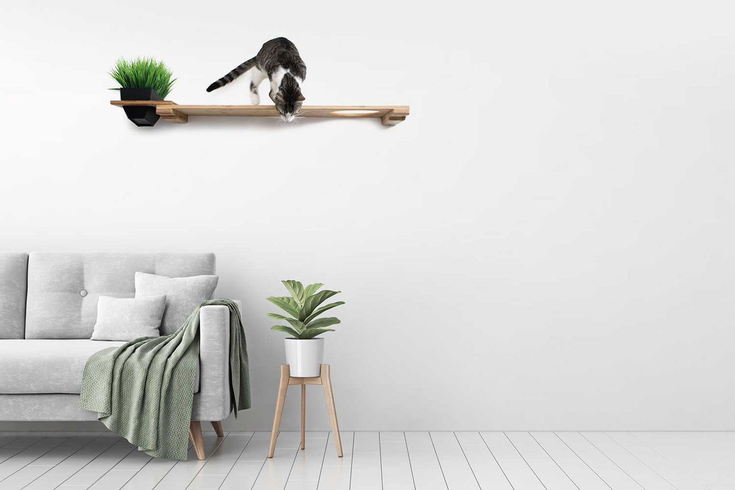 Cat Plant Stand for Wall
