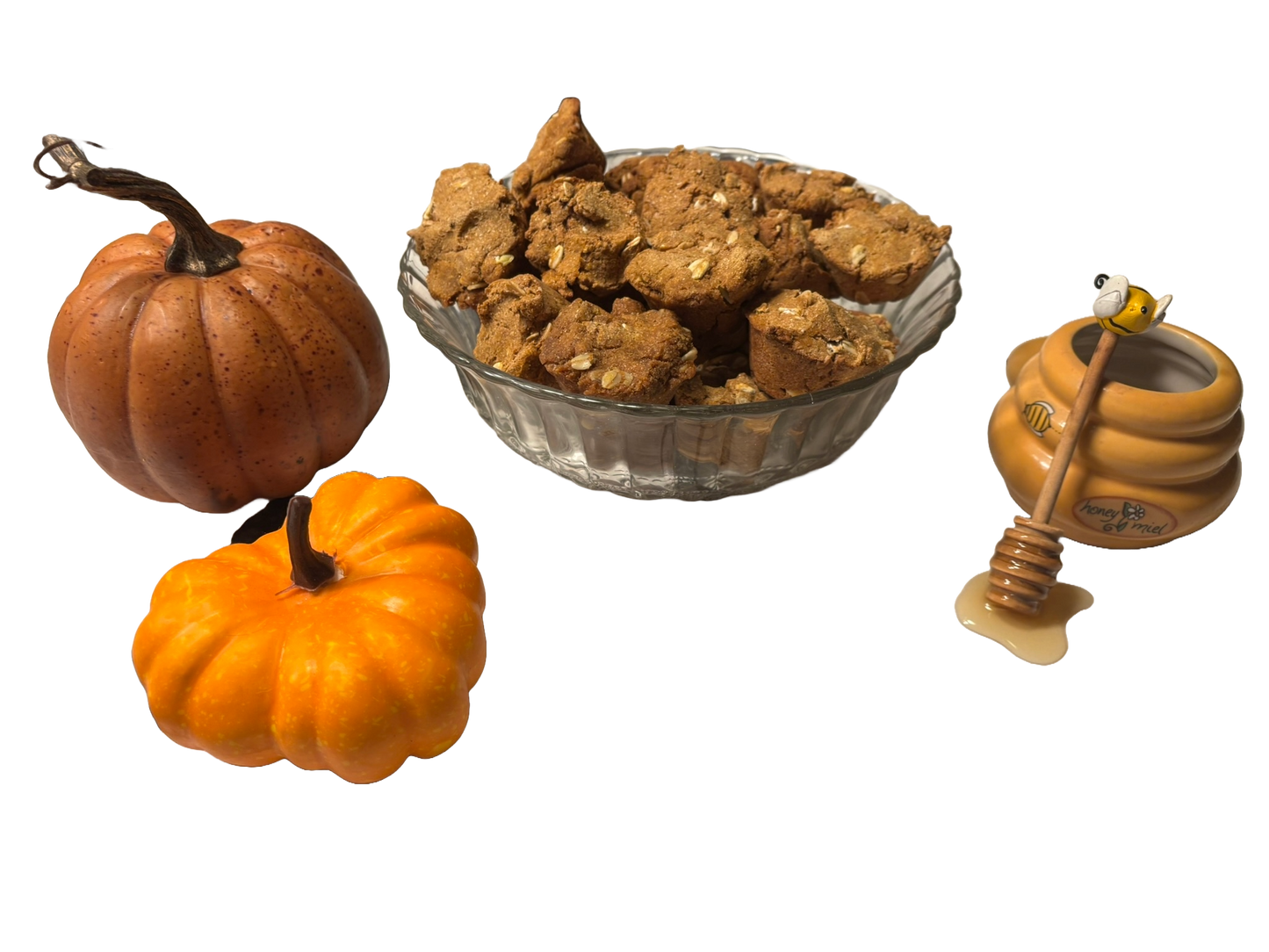 🐶 New Pup Welcome Bundle