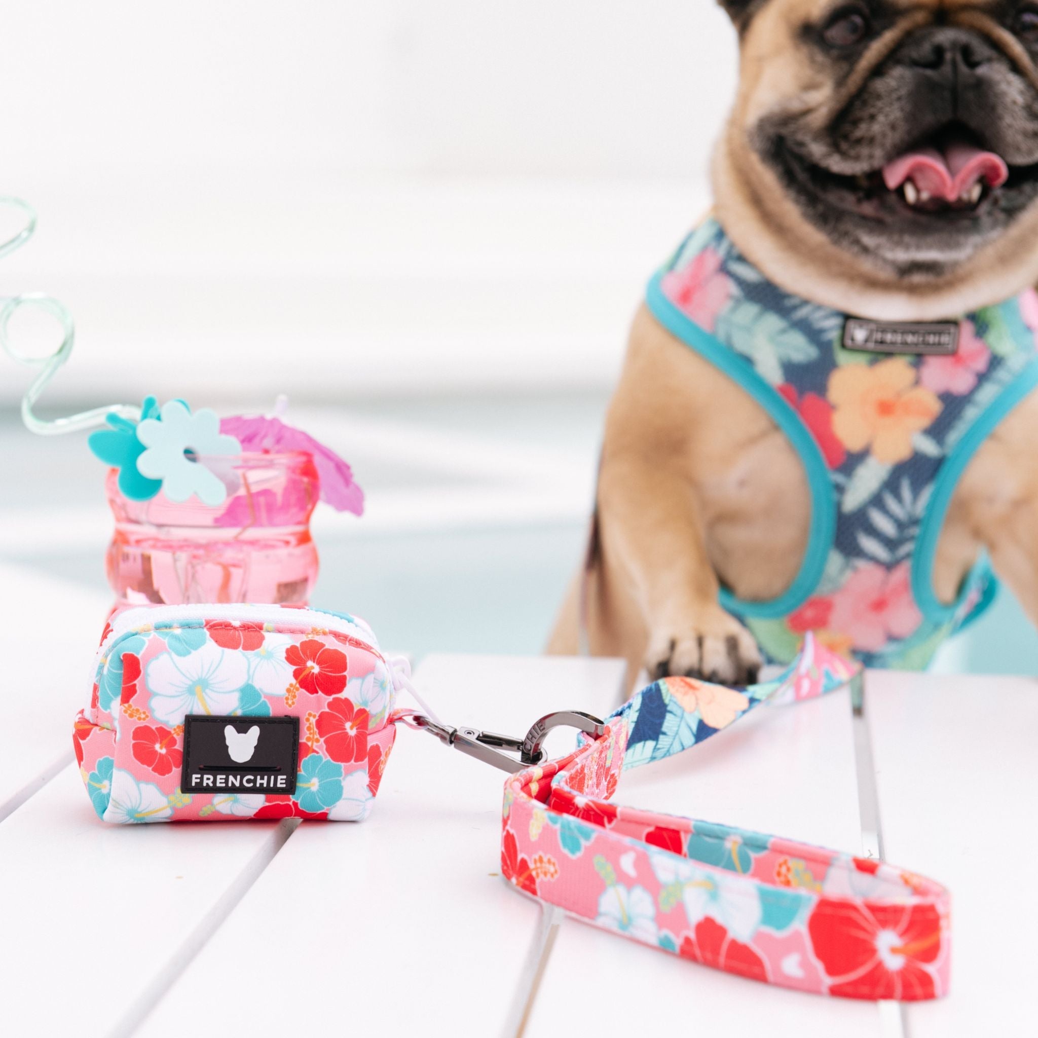 Frenchie Comfort Leash - Paradise