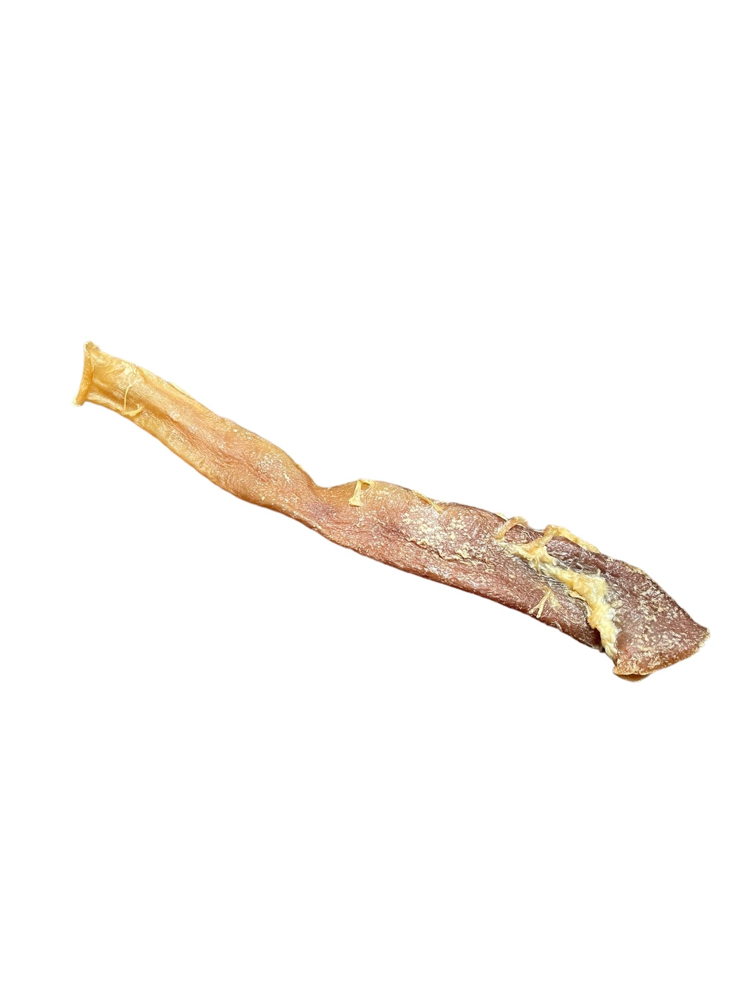 Dehydrated Beef Aorta
