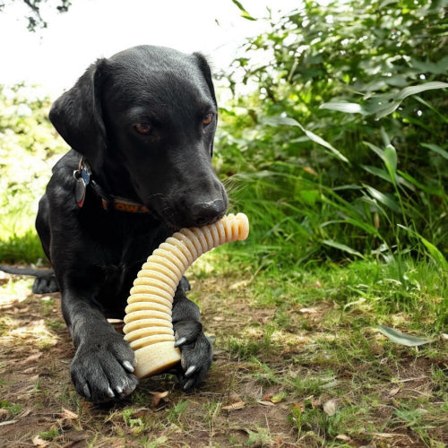 Honey Bone Dental Antler  eChew Ultra Durable Nylon Dog Chew Toy - XL