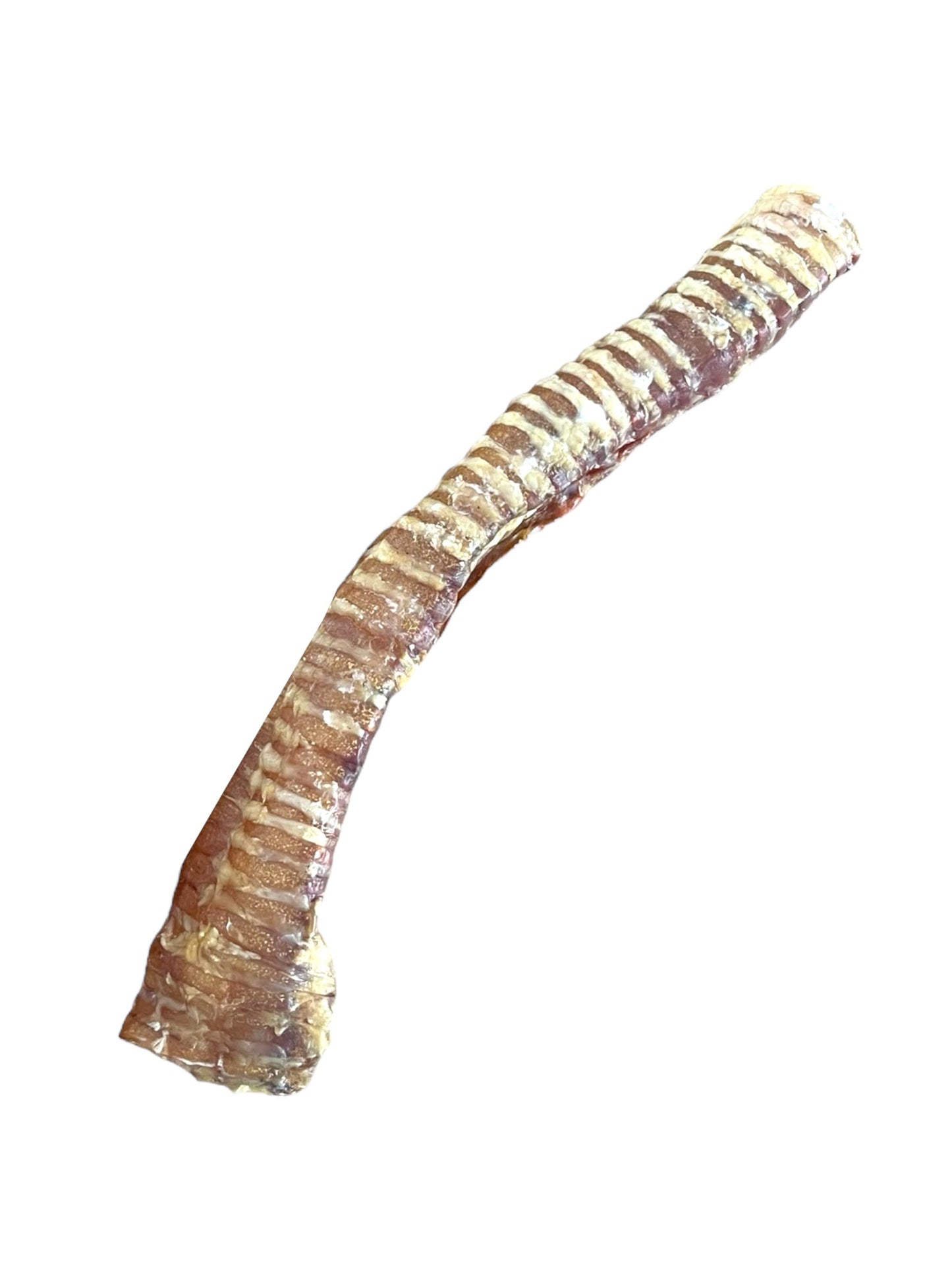 Dehydrated Beef Trachea