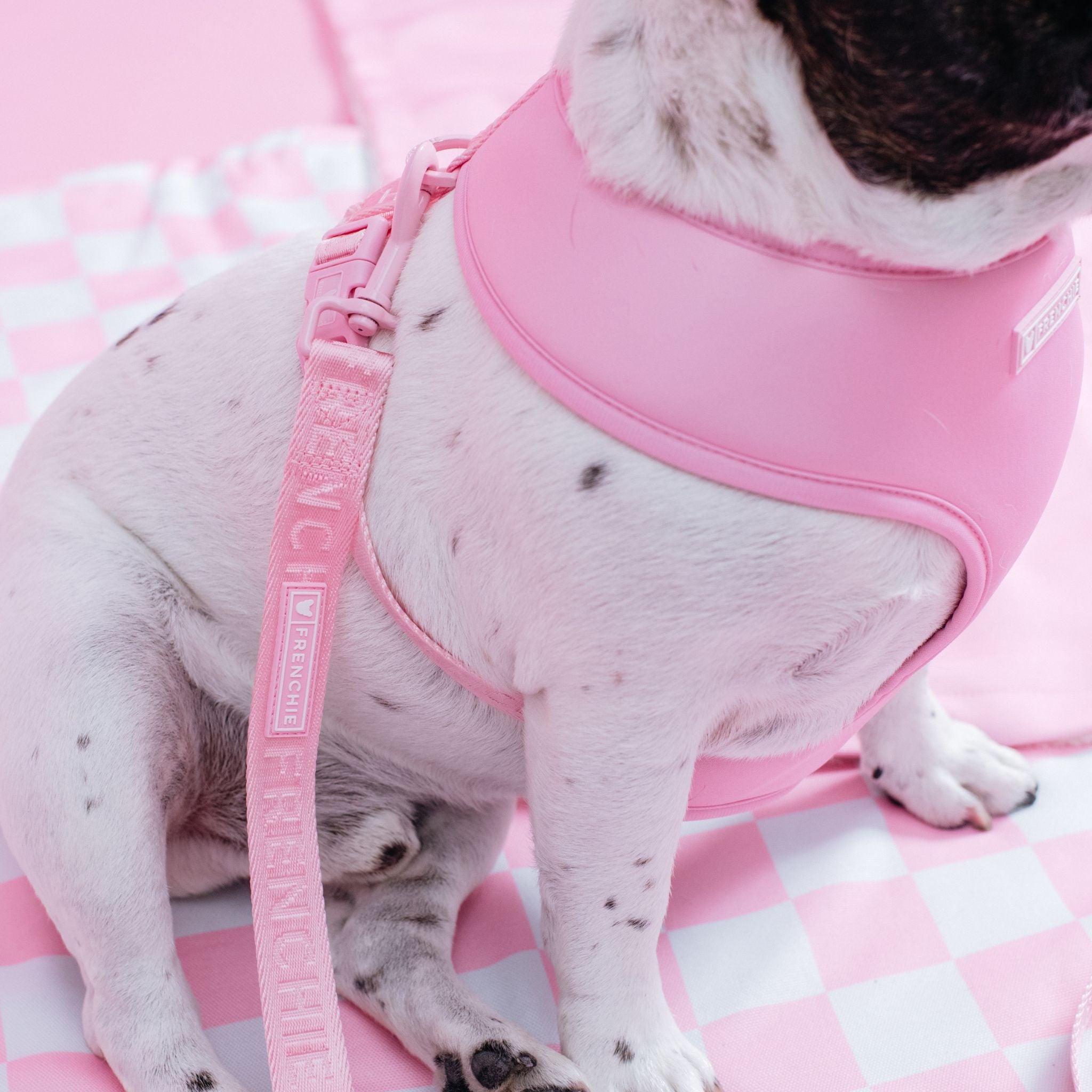 Frenchie Comfort Leash - Solid Pink Bubblegum