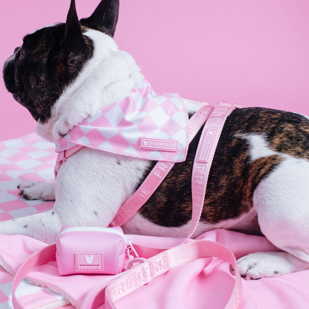 Frenchie Strap Harness - Solid Pink Bubblegum