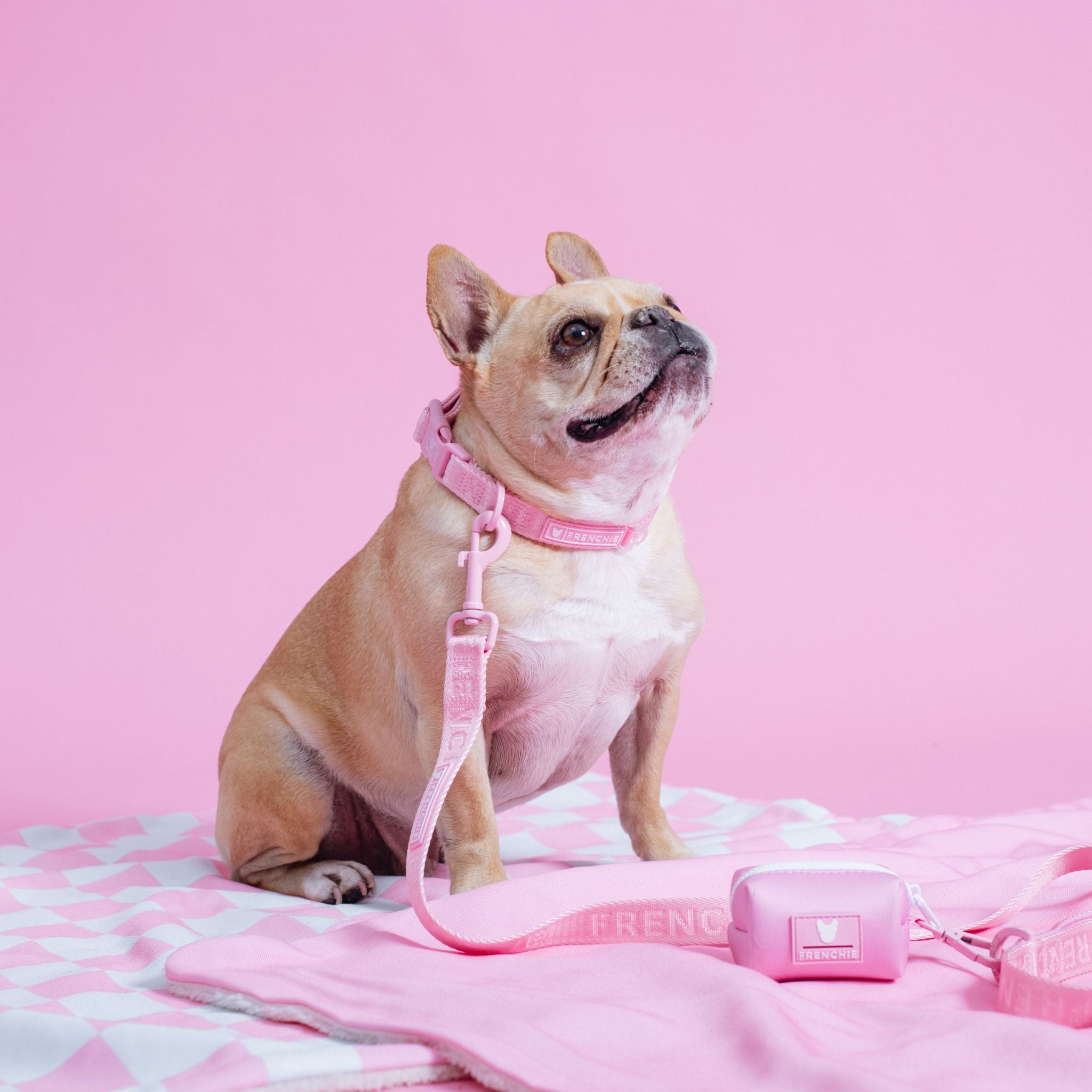 Frenchie Comfort Leash - Solid Pink Bubblegum
