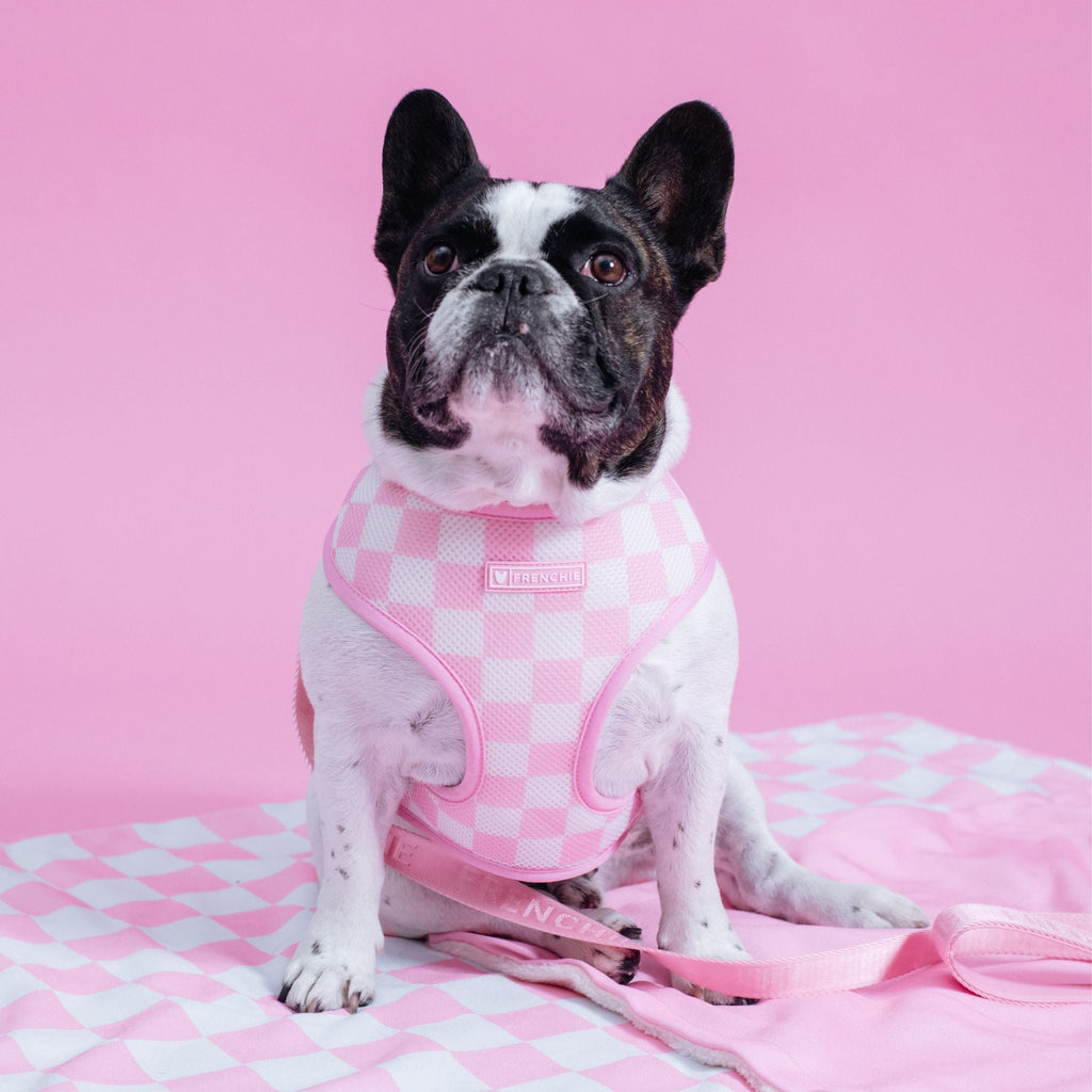 Frenchie Duo Reversible Harness - Solid Pink Bubblegum